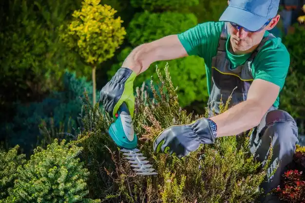 landscaping services Innsbrook